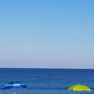 Meet your Posher, Tracey